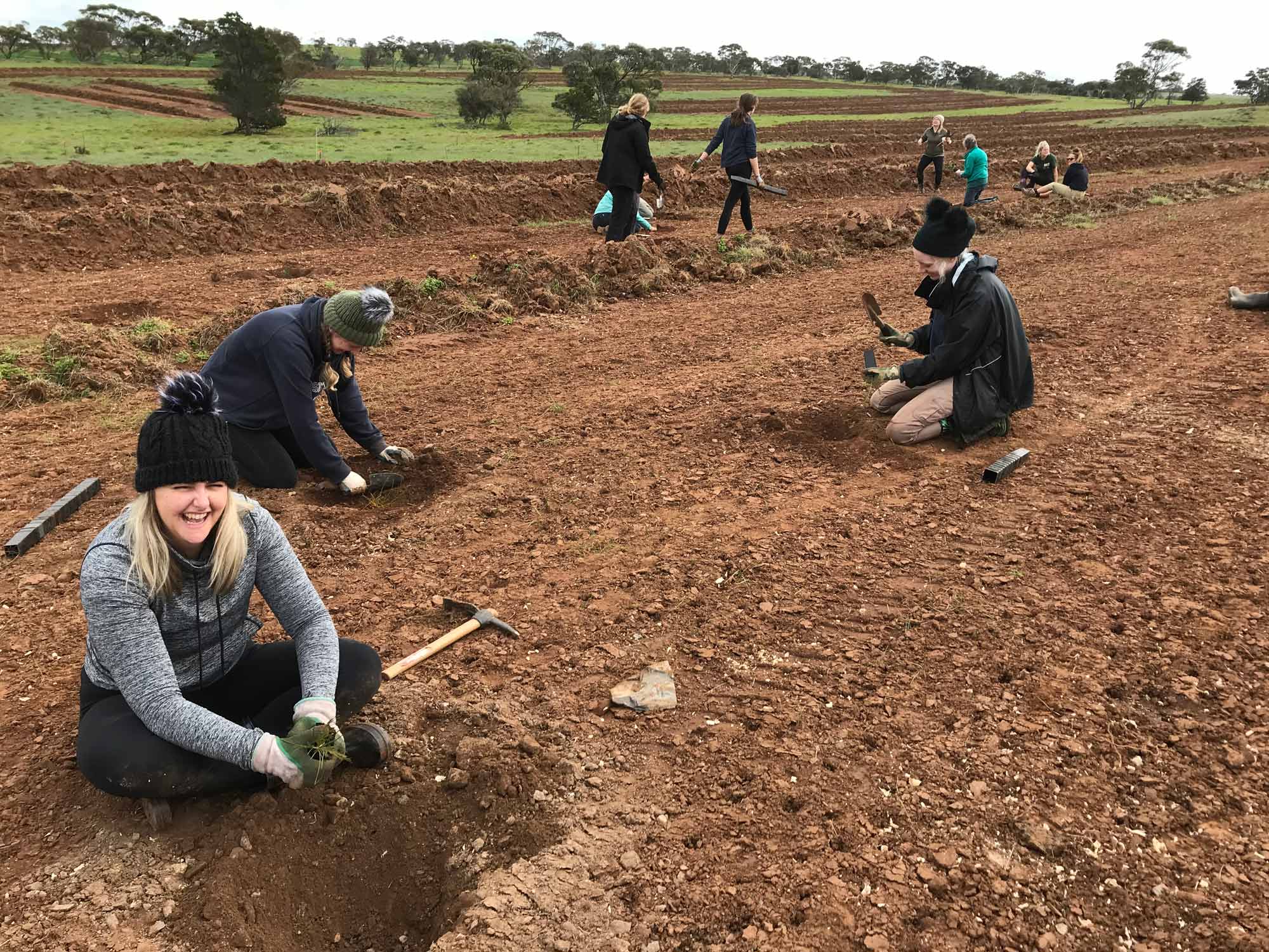 Image of Frahns farm planting day